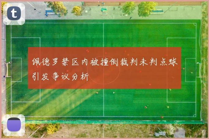 佩德罗禁区内被撞倒裁判未判点球引发争议分析